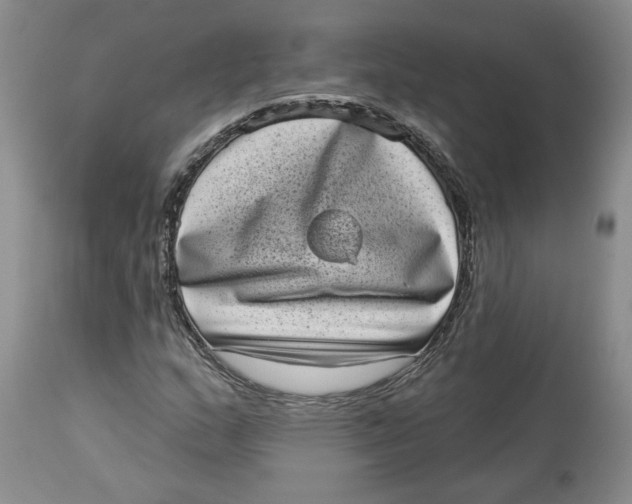 X0000113981159200910231702