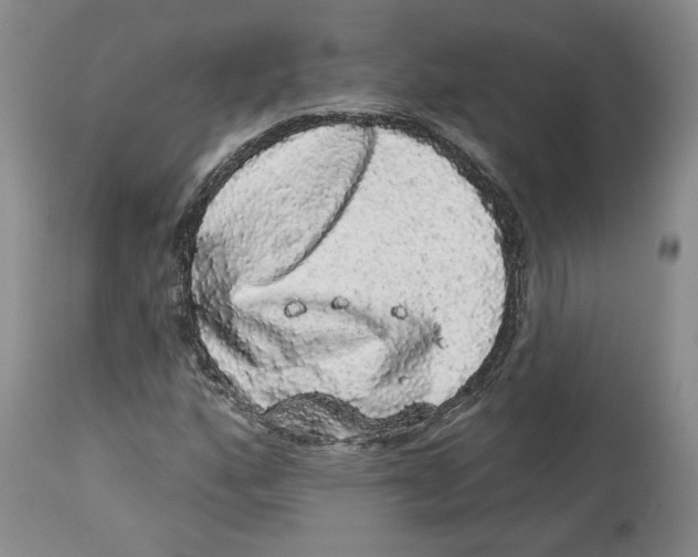 X0000113981160200910231702