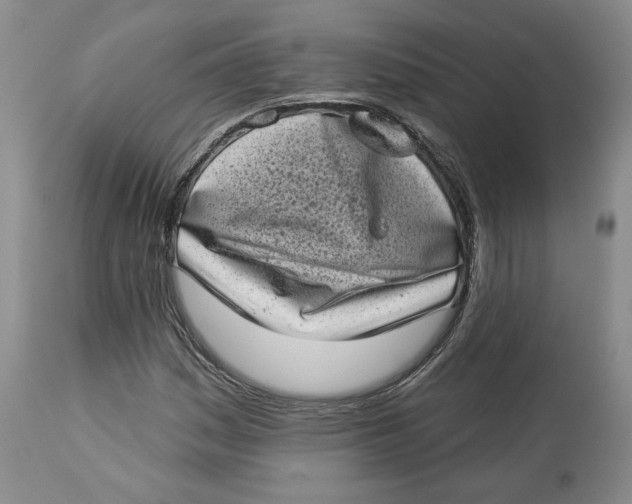 X0000113981161200910231702