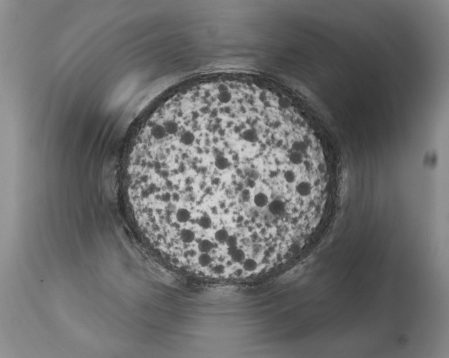 X0000113981162200910231702