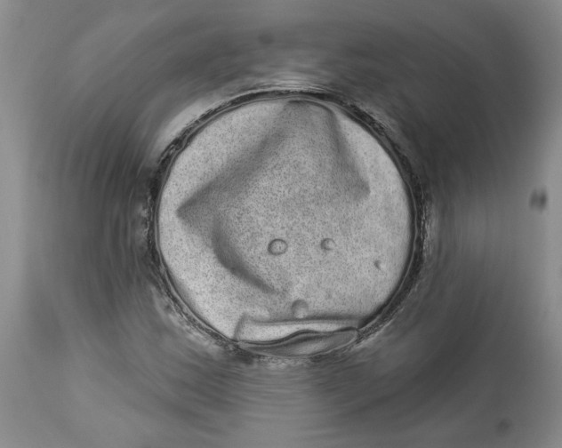 X0000113981163200910231702