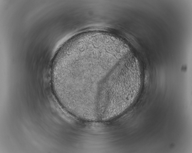 X0000113981164200910231702