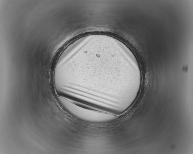 X0000113981165200910231702