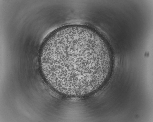 X0000113981166200910231702