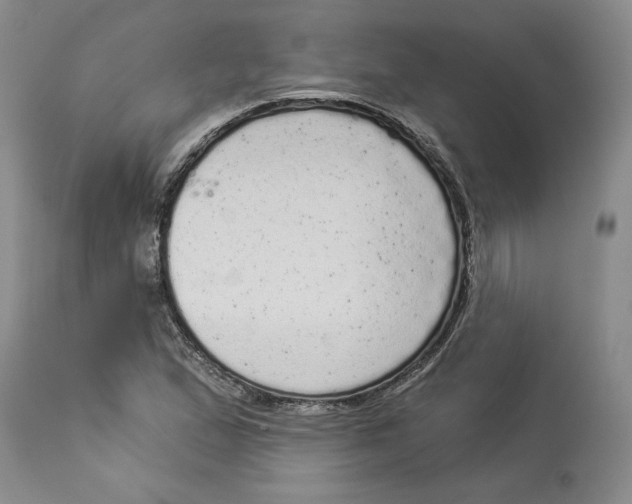 X0000113981167200910231702