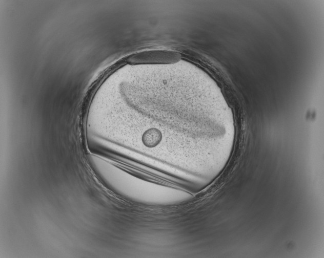 X0000113981168200910231702