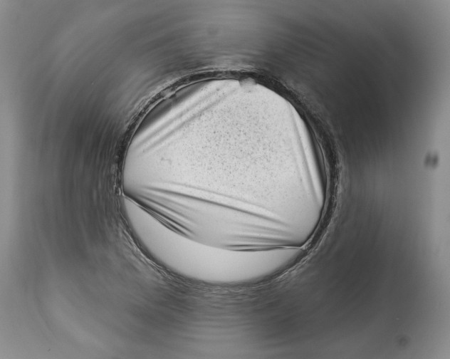 X0000113981169200910231702