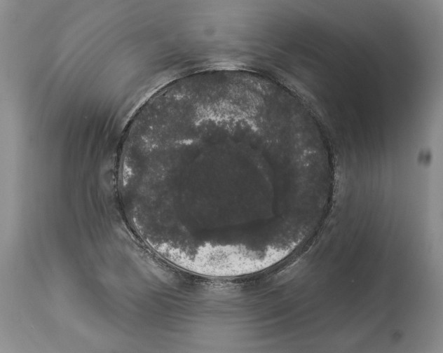 X0000113981170200910231702