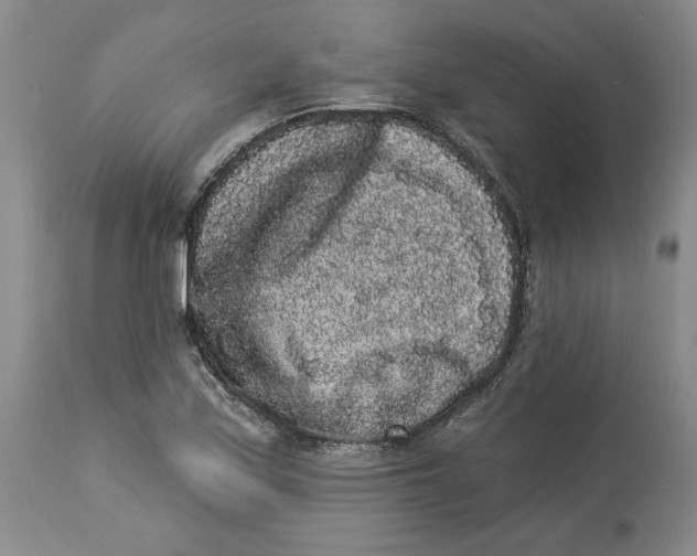 X0000113981171200910231701