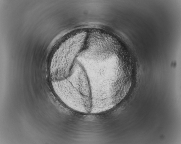 X0000113981172200910231701