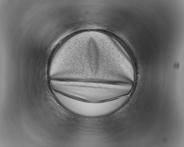 X0000113981173200910231701