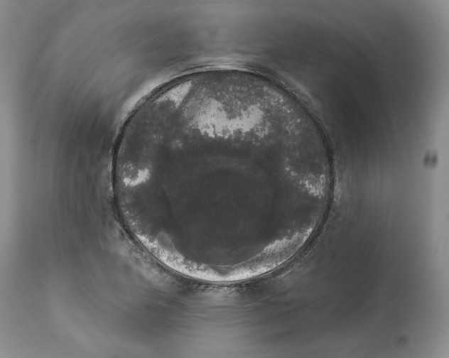 X0000113981174200910231701