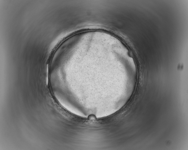 X0000113981175200910231701