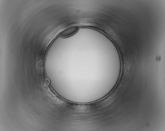 X0000113981177200910231701