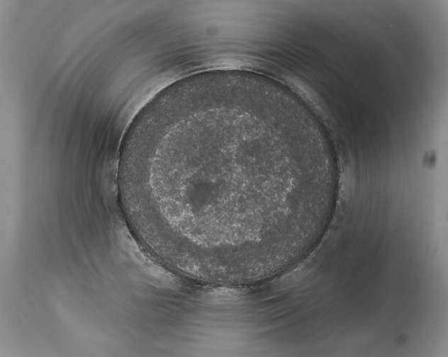 X0000113981178200910231701