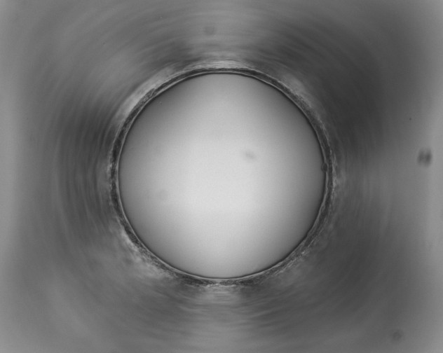 X0000113981181200910231701