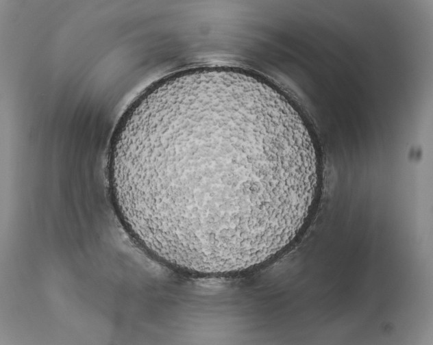 X0000113981182200910231701