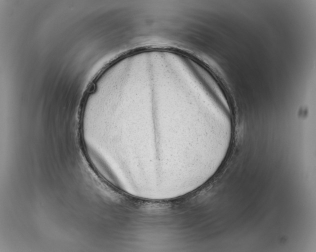 X0000113981183200910231701