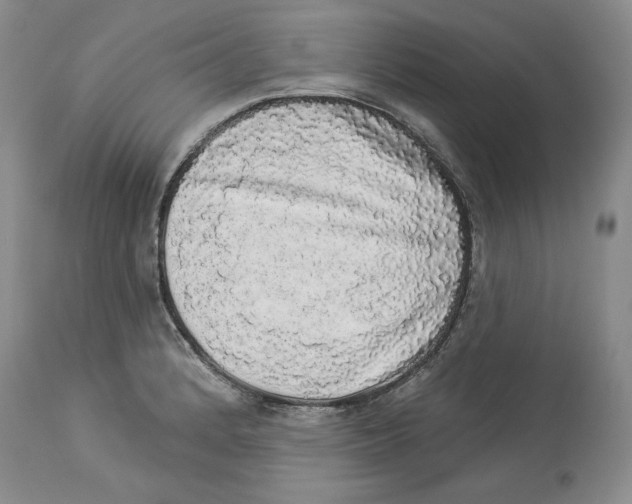 X0000113981184200910231701