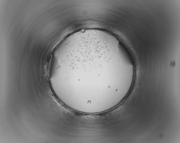 X0000113981185200910231701