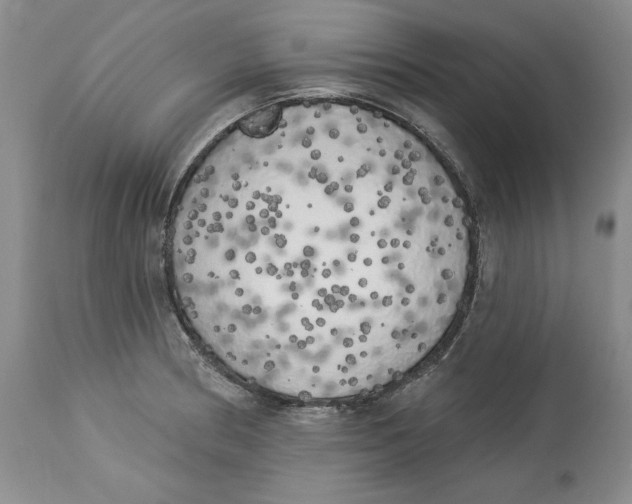 X0000113981186200910231701