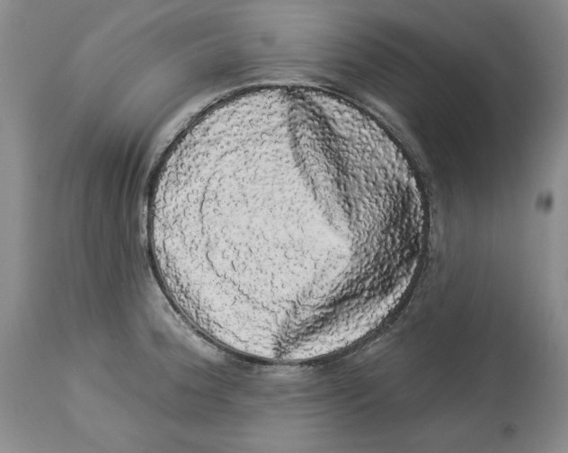 X0000113981188200910231701