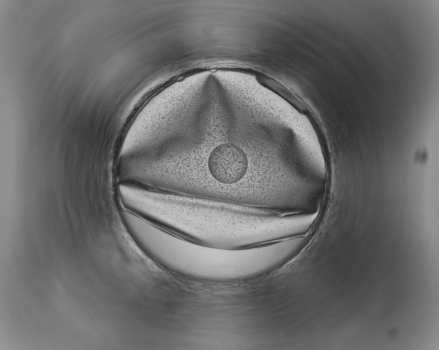 X0000113981189200910231701