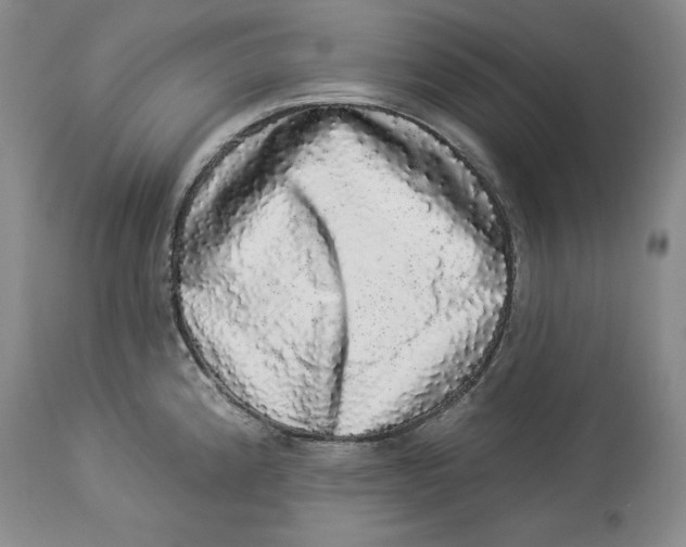 X0000113981192200910231701