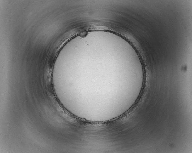 X0000113981193200910231701