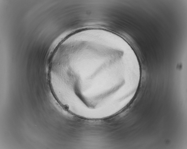 X0000113981196200910231701