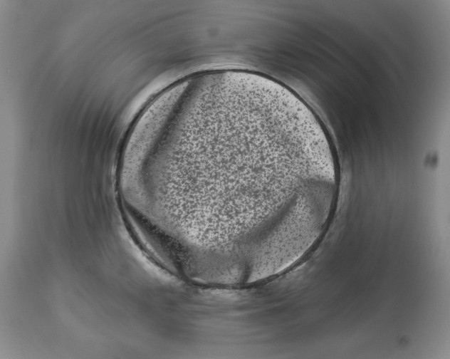 X0000113981197200910231701