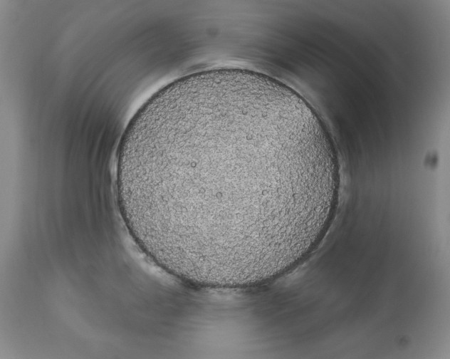 X0000113981198200910231701