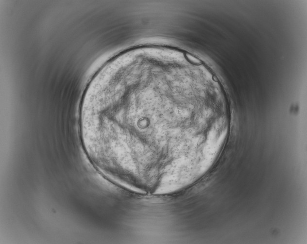 X0000113981199200910231701