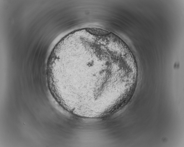 X0000113981200200910231701