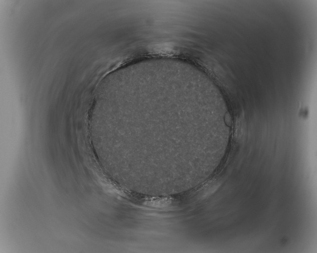 X0000113981201200910231700