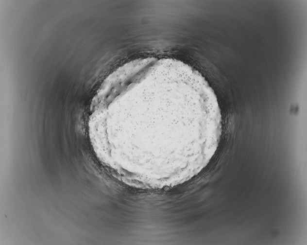 X0000113981202200910231700