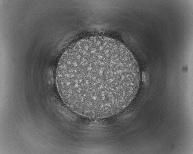 X0000113981203200910231700