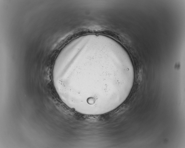 X0000113981205200910231700