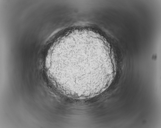 X0000113981206200910231700