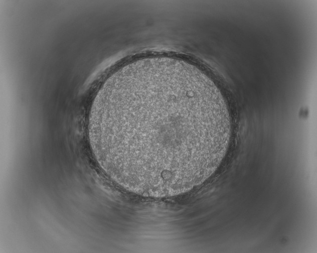 X0000113981207200910231700