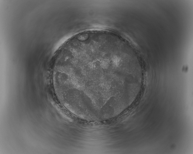 X0000113981208200910231700