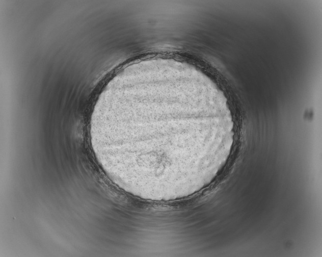 X0000113981209200910231700