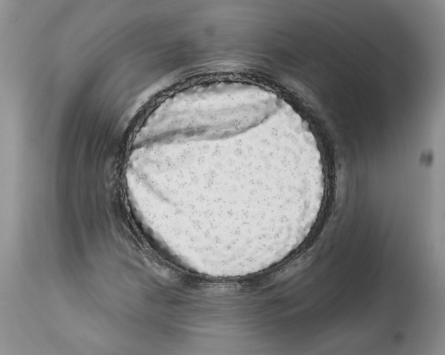 X0000113981210200910231700