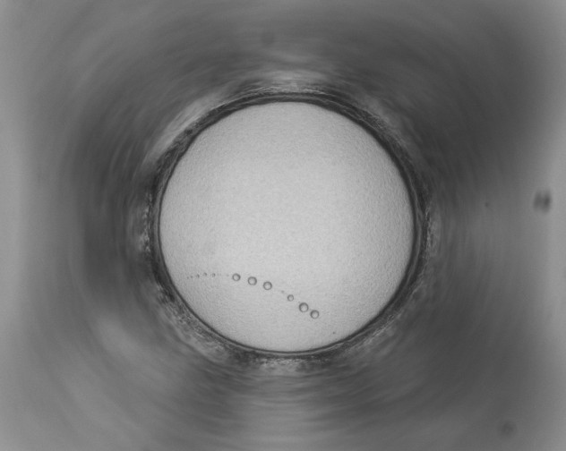 X0000113981211200910231700