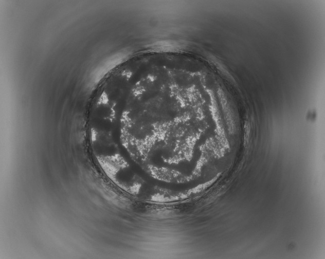 X0000113981213200910231700