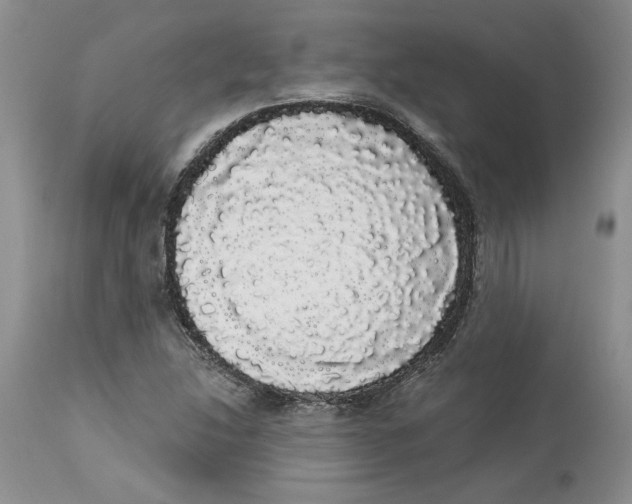 X0000113981214200910231701