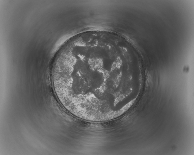 X0000113981215200910231701