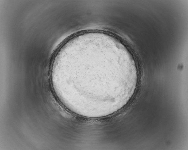 X0000113981216200910231701