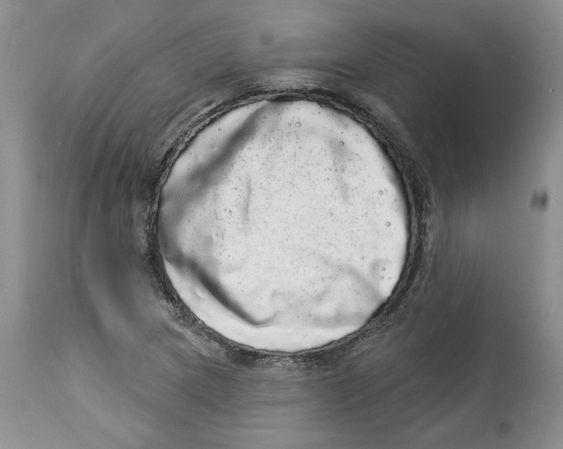 X0000113981217200910231701