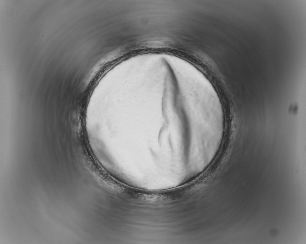 X0000113981218200910231701